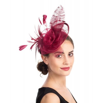 Fascinators Hat Sinamay Flower Mesh Feathers on a Headband a Clip Tea Party Headwear Girls Women